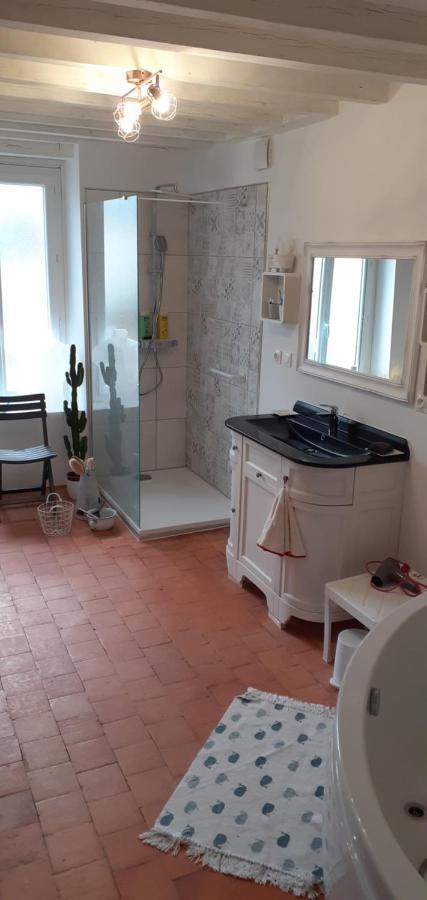 Appartement Les Campanules - Neuvy en Sullias Extérieur photo